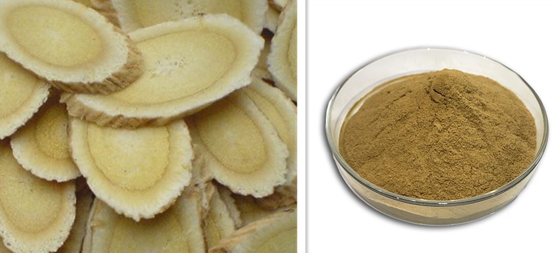 Astragalus root extract