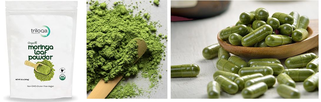 moringa powder application