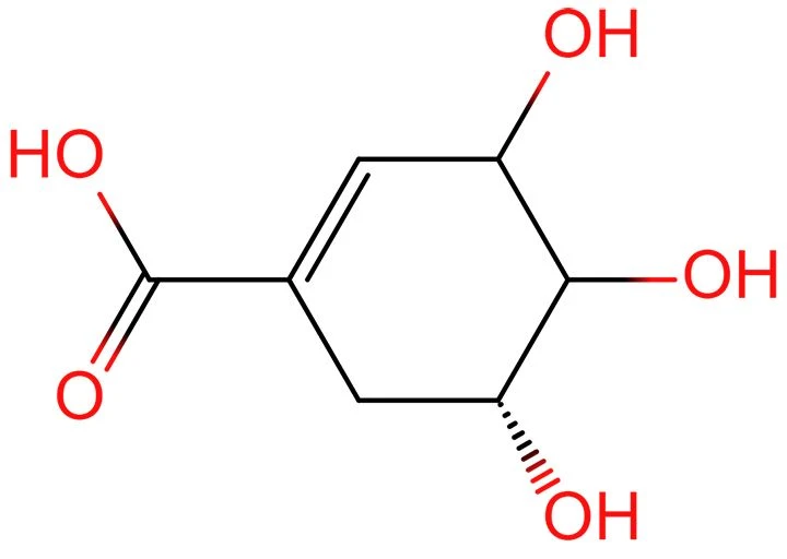 shikimic chemical formula