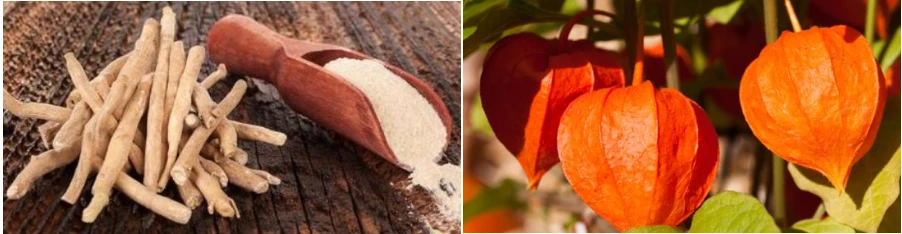 Ashwagandha