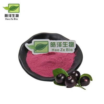 Brasiilia Acai marjapulber